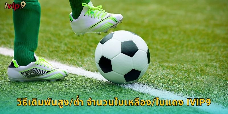 วิธีเดิมพันสูง/ต่ำ จำนวนใบเหลือง/ใบแดง IVIP9